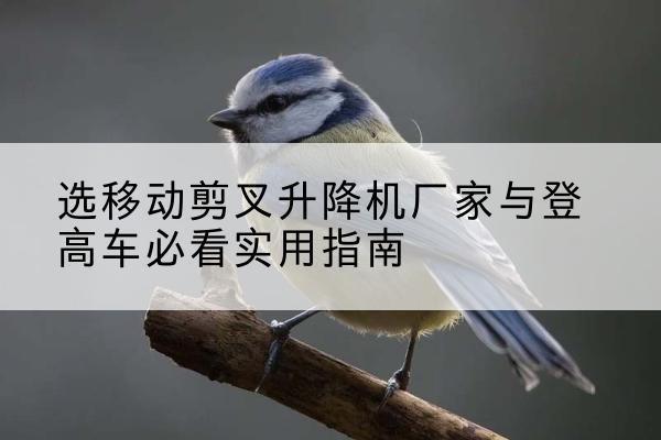 永嘉电动升降机厂家-选移动剪叉升降机厂家与登高车必看实用指南