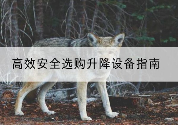 永嘉升降货梯厂家推荐-*安全选购升降设备指南