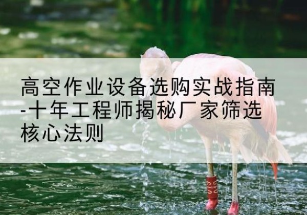 永嘉剪叉式升降机厂家-高空作业设备选购实战指南-十年工程师揭秘厂家筛选核心法则
